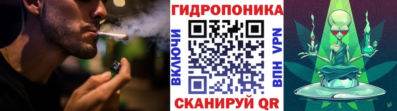 Купить наркотики Новая Усмань A-PVP  Бошки Шишки  Меф  Галлюциногенные грибы  ГАШИШ 