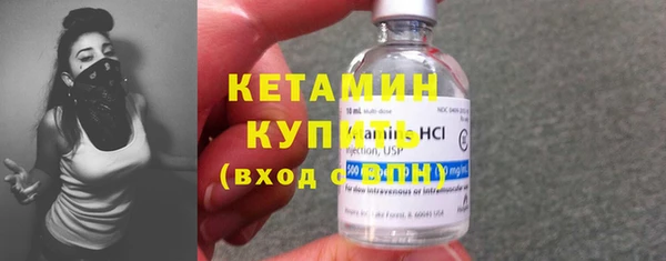 прущие грибы Бородино