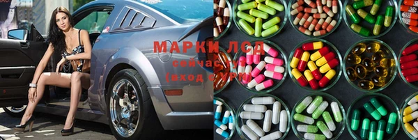 прущие грибы Бородино