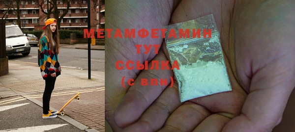 прущие грибы Бородино