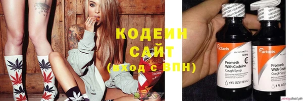 прущие грибы Бородино