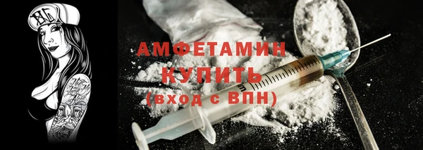 прущие грибы Бородино