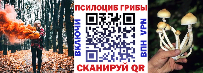 Псилоцибиновые грибы ЛСД  Новая Усмань 